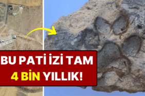s-94928062a3d3313575b99f40448bcd94cabbe3dc.jpg