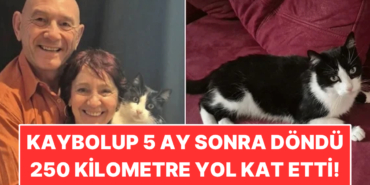 s-ed363b911a74f706ef0bfa130d327ef0c44e3b4b.jpg